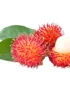 Rambutan