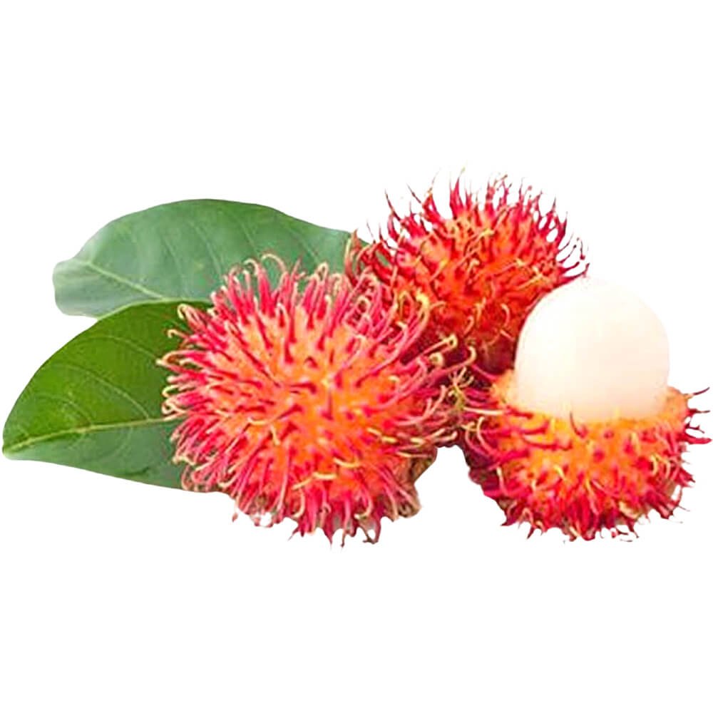 Rambutan