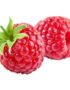 Raspberry