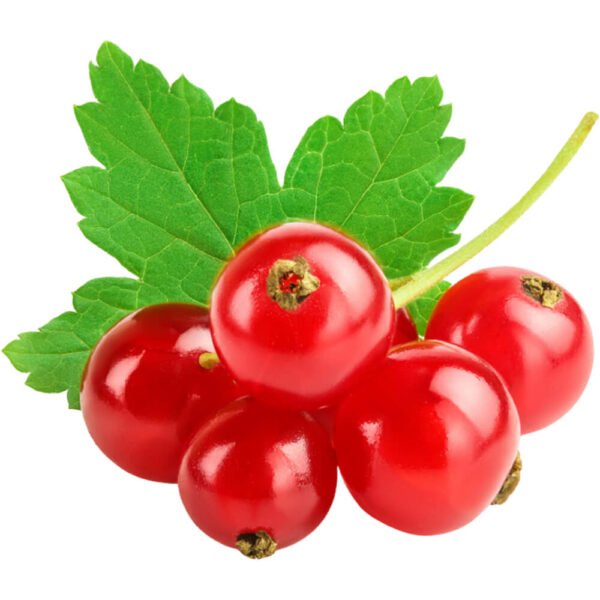 Red Currant