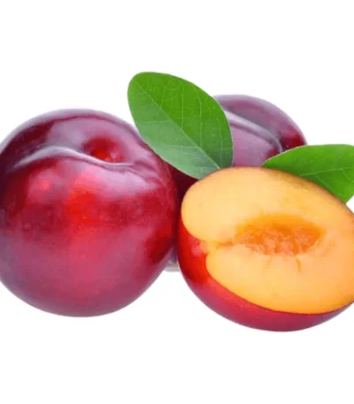 Red Plum