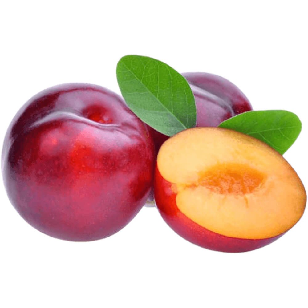 Red Plum Red Plum