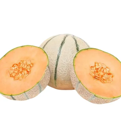 Rock Melon