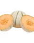 Rock Melon