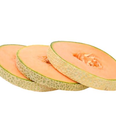 Rock Melon Slice