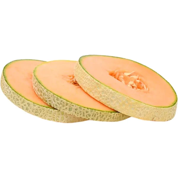 Rock Melon Slice