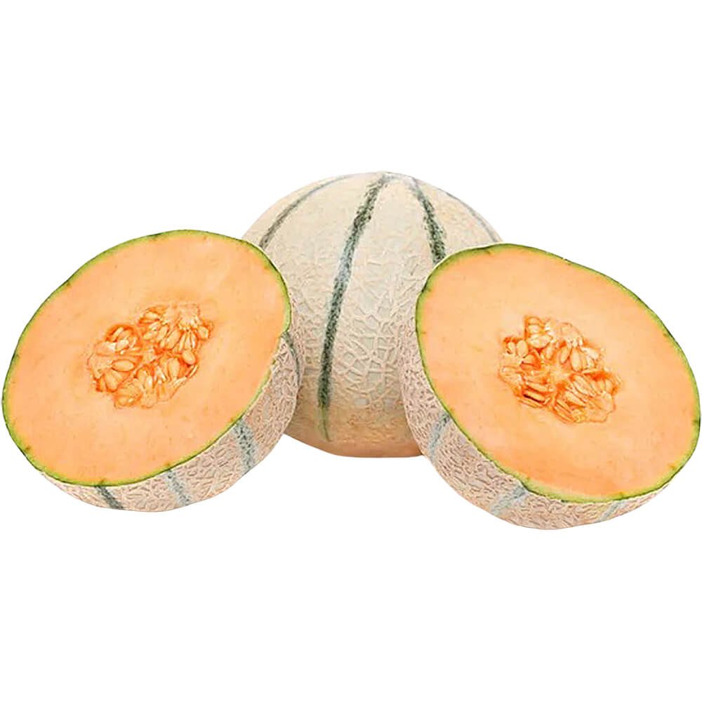 Rock Melon Rock Melon