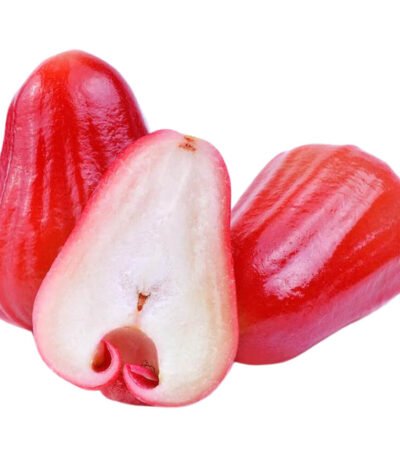 Rose Apple Red
