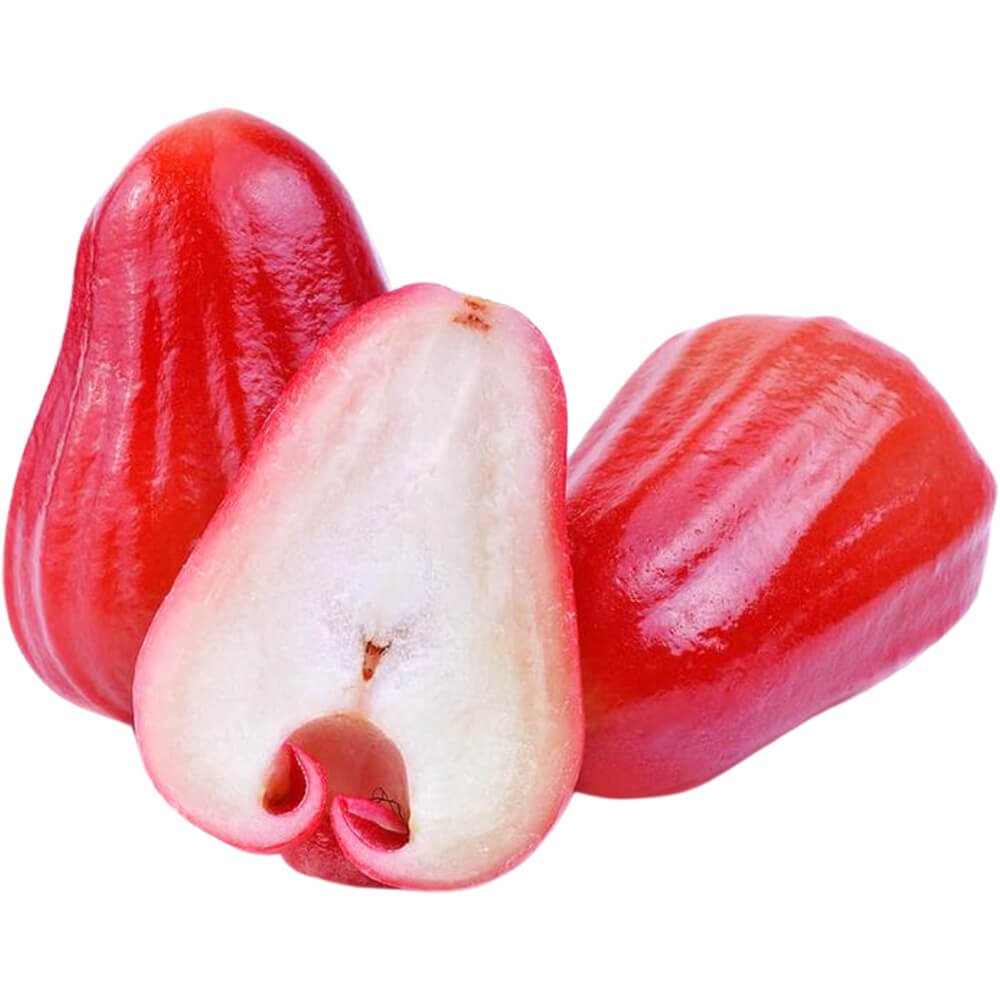 Rose Apple Red Rose Apple Red