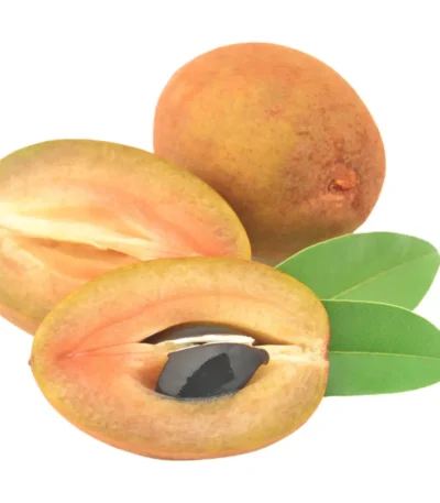 Sapodilla (Chikoo) Thailand