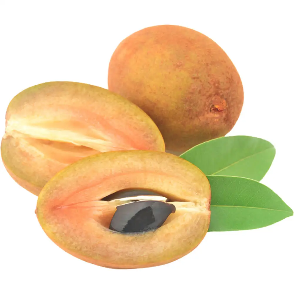 Sapodilla (Chikoo) Thailand Sapodilla (Chikoo) Thailand
