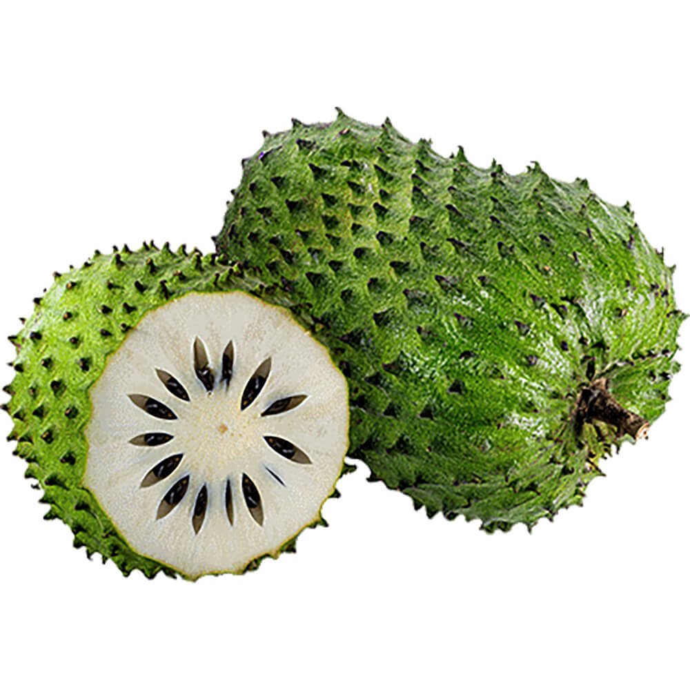 Soursop – Graviola – Guanabana Soursop – Graviola – Guanabana