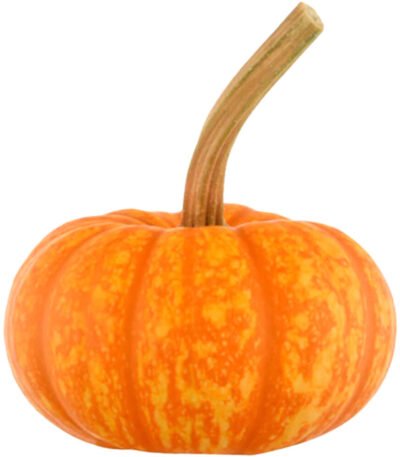 Sparkler Pumpkin Halloween