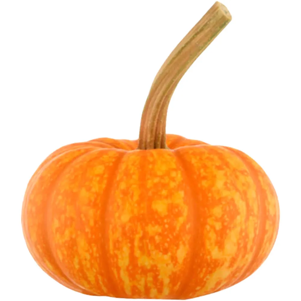 Sparkler Pumpkin Halloween Sparkler Pumpkin Halloween