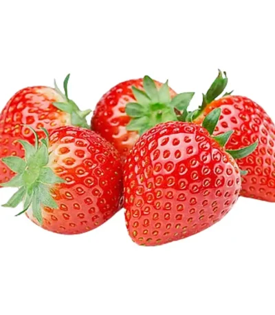 Strawberry Egypt