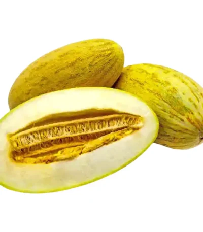 Sweet Melon Mashadi