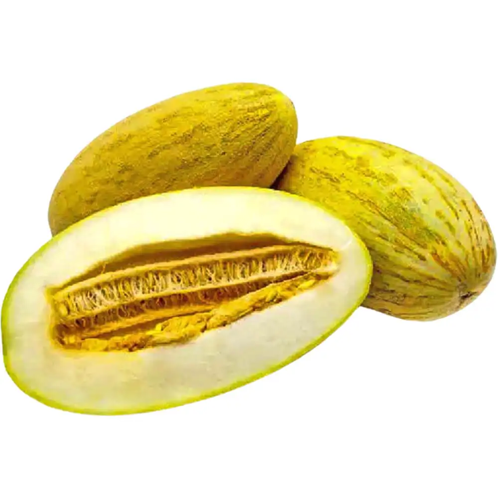 Sweet Melon Mashadi Sweet Melon Mashadi