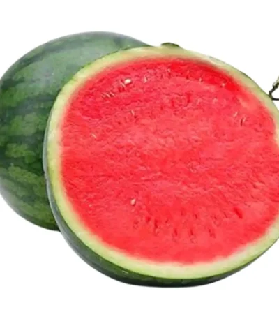 Watermelon Seedless