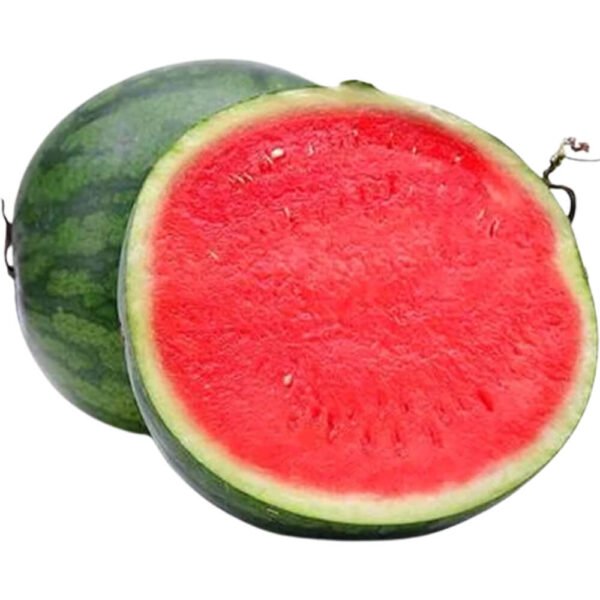 Watermelon Seedless