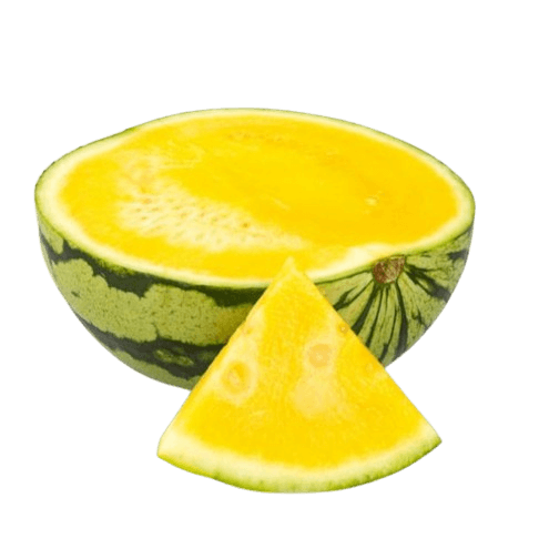 Watermelon Yellow Seedless