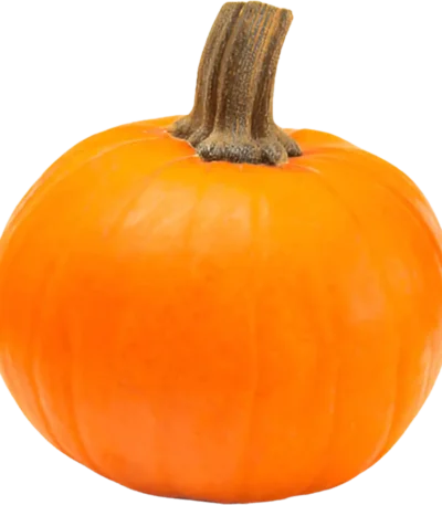Wee-be-little Pumpkin