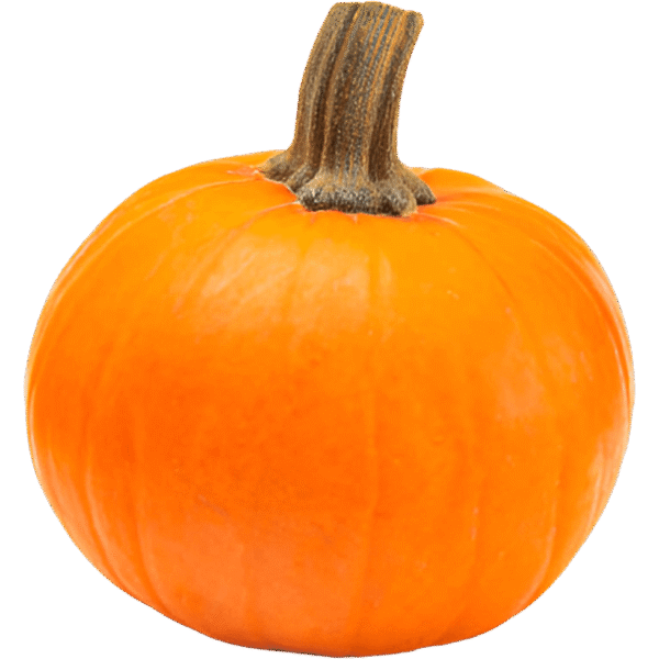 Wee-be-little Pumpkin