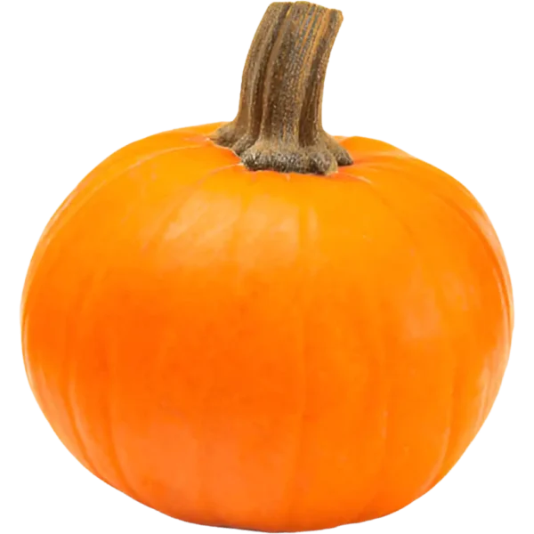 Wee-be-little Pumpkin