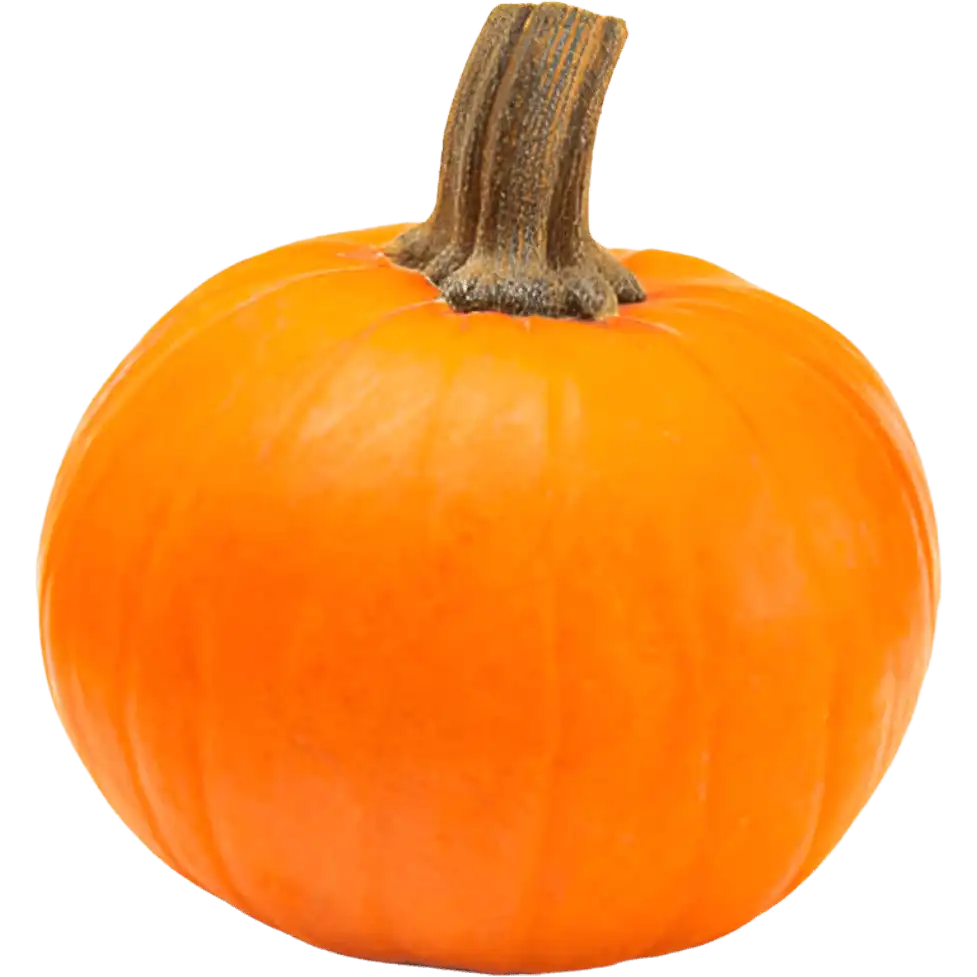 Wee-be-little Pumpkin Wee-be-little Pumpkin