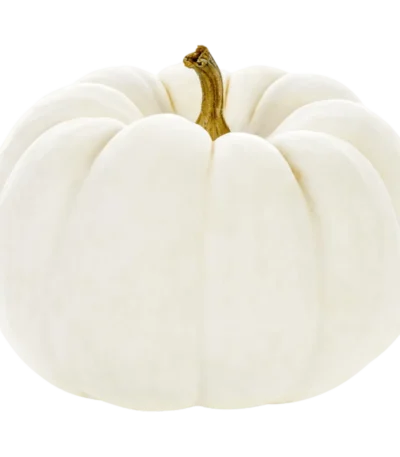 White Pie Pumpkin