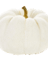 White Pie Pumpkin