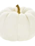 White Pie Pumpkin
