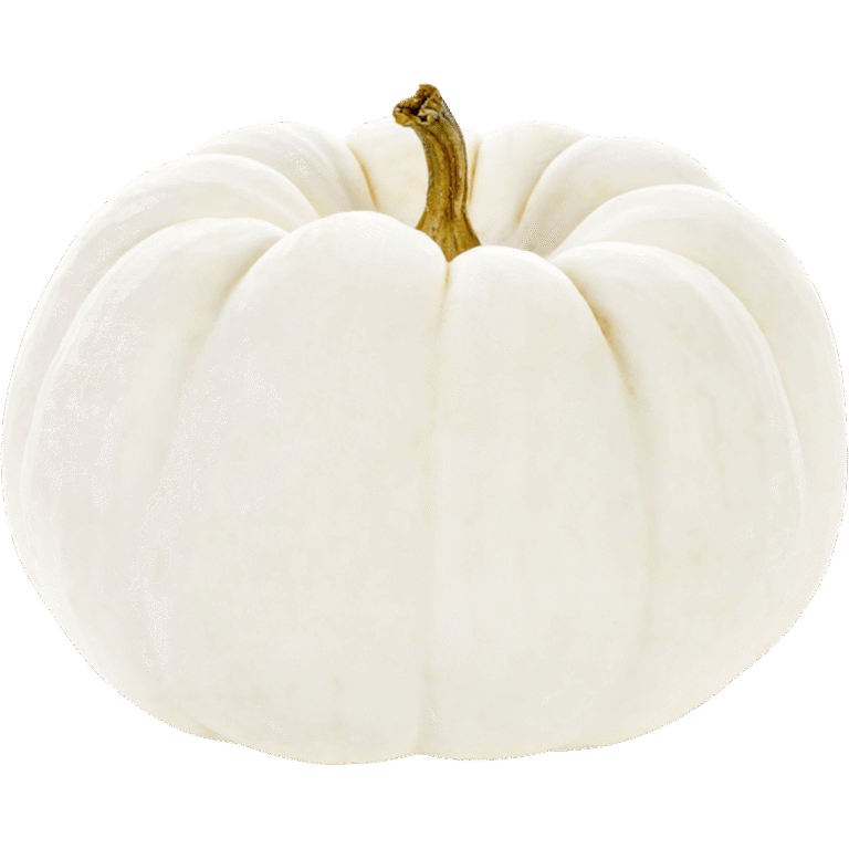 White Pie Pumpkin