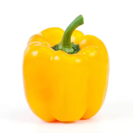 Bright yellow capsicum with a green stem on a white background.