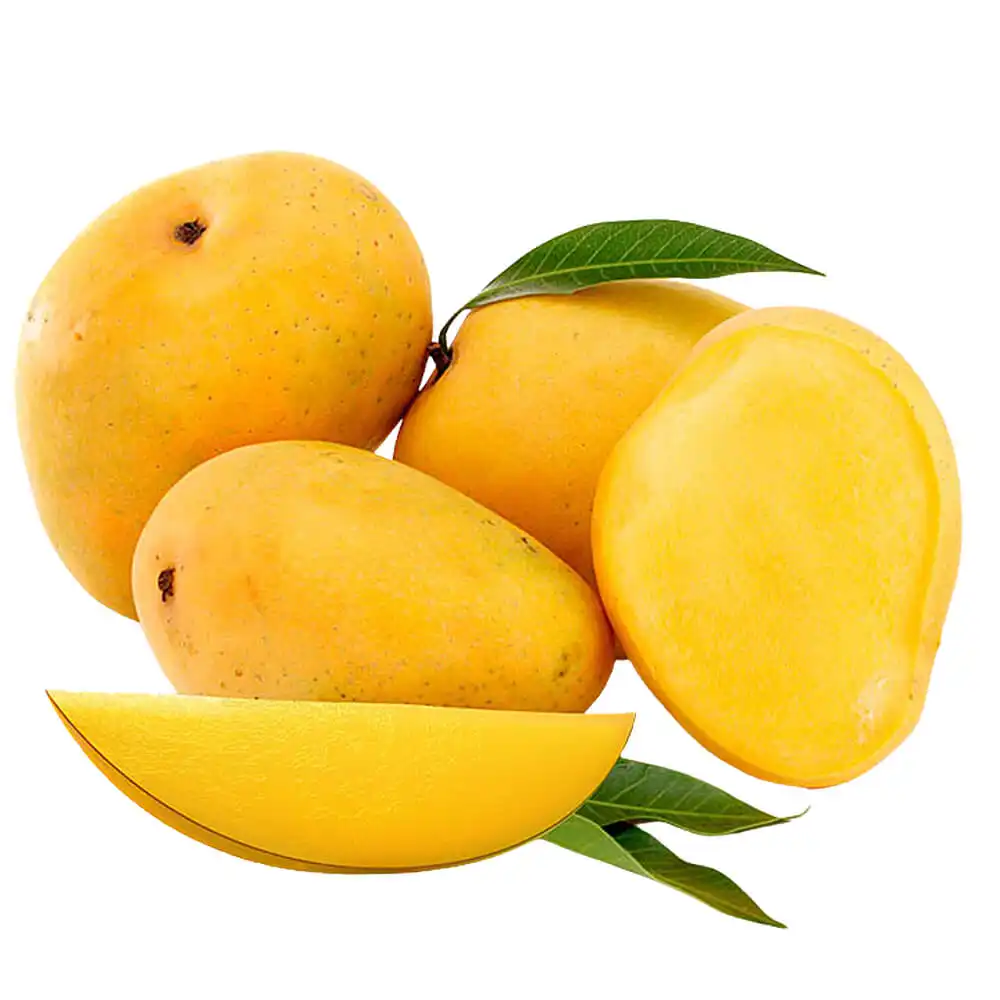 alphonso-mango-uae-img01 Alphonso Mango - Image 1