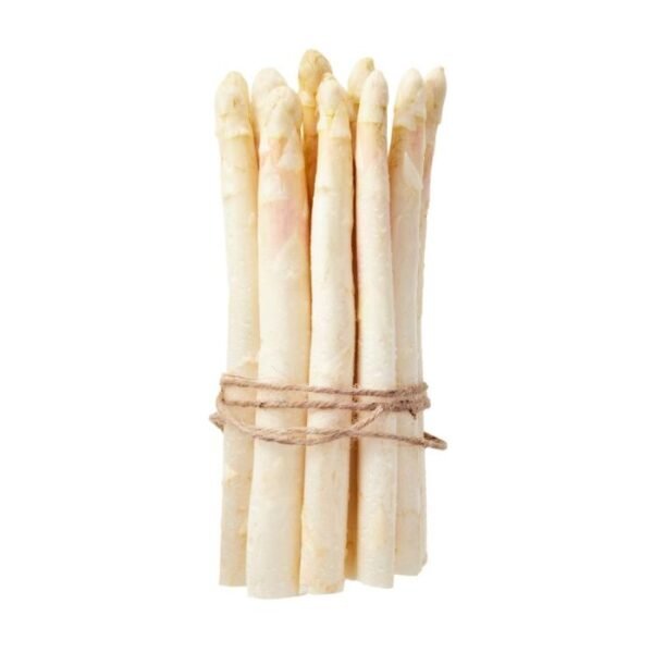 Asparagus White