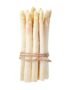Asparagus White