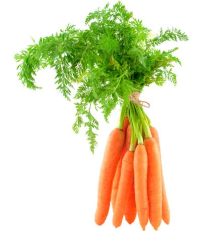 CARROTS WITH LEAVES