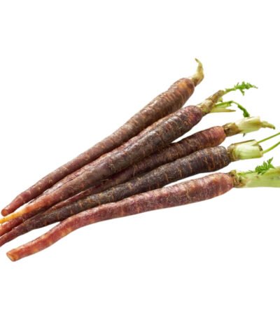Baby Purple Carrot