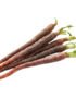 Baby Purple Carrot