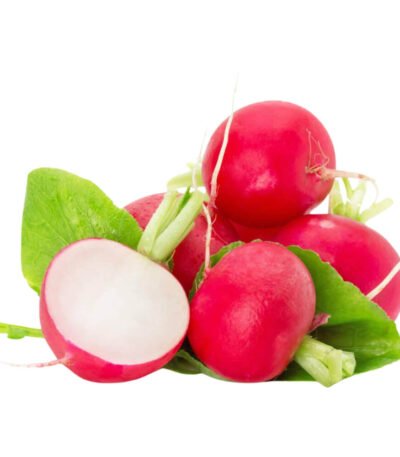 Baby Radish Red