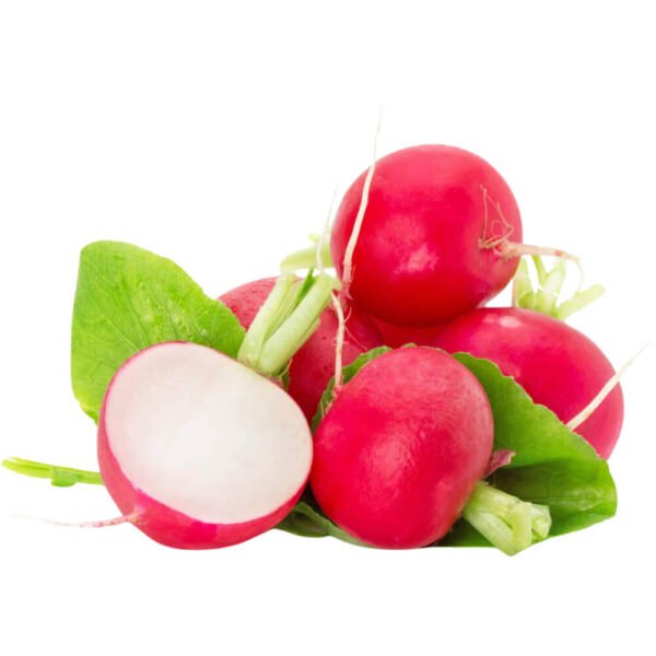 Baby Radish Red