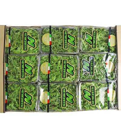 Baby Rocca Box Italy