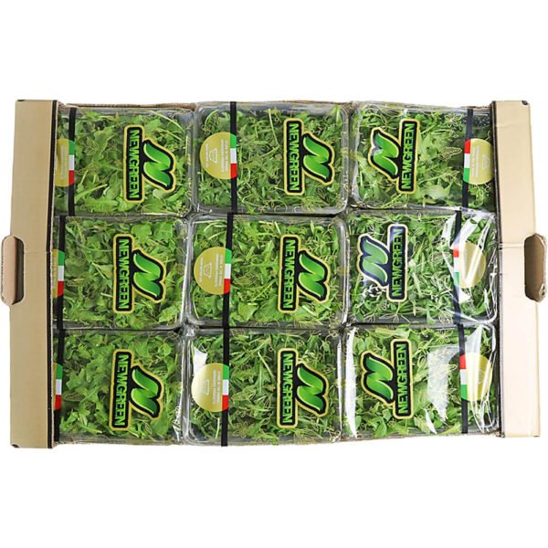 Baby Rocca Box Italy