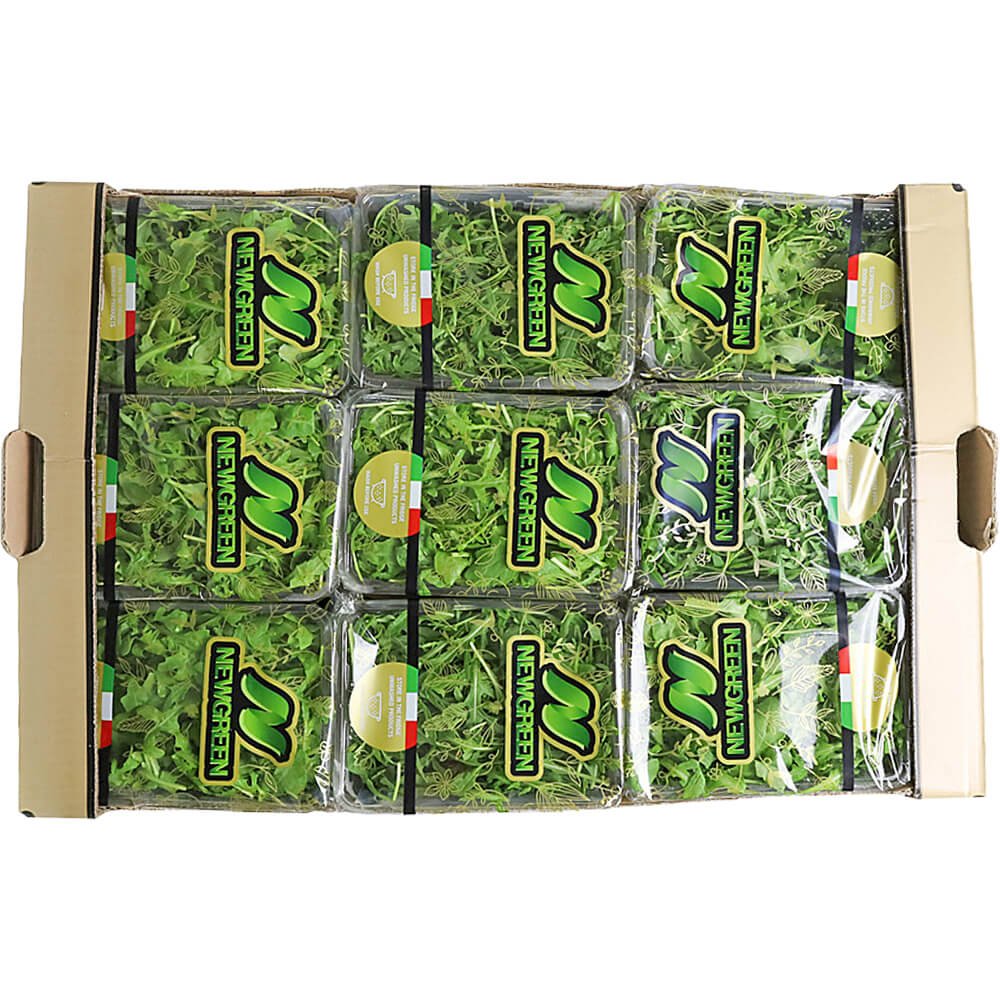 Baby Rocca Box Italy