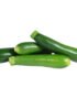 Baby Zucchini Green