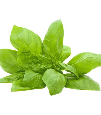 Basil Sweet