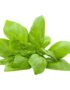 Basil Sweet