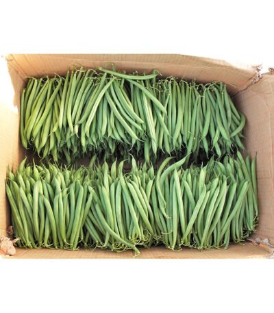 Beans Green Kenya Box