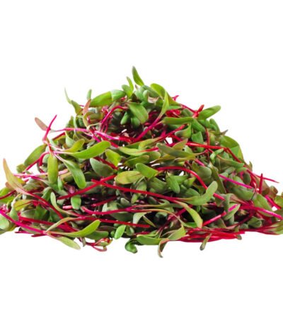 Beetroot – Microgreen Cut