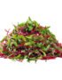 Beetroot – Microgreen Cut